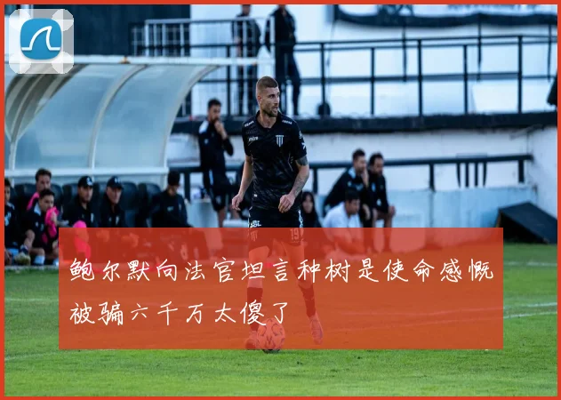 鲍尔默向法官坦言种树是使命感慨被骗六千万太傻了